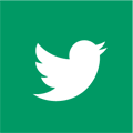 Twitter Icon Hover